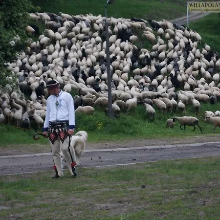 U Marii - Koninki Poręba Wielka